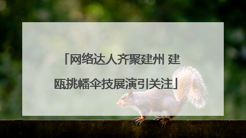 网络达人齐聚建州 建瓯挑幡伞技展演引关注