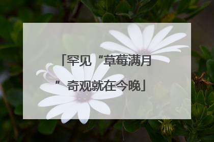罕见“草莓满月”奇观就在今晚