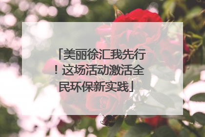 美丽徐汇我先行！这场活动激活全民环保新实践