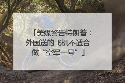 美媒警告特朗普：外国送的飞机不适合做“空军一号”