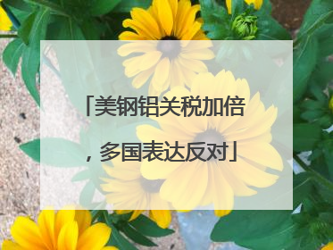 美钢铝关税加倍，多国表达反对