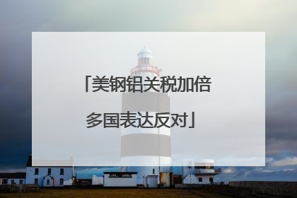 美钢铝关税加倍 多国表达反对