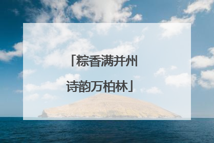 粽香满并州 诗韵万柏林