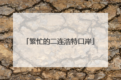 繁忙的二连浩特口岸