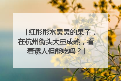 红彤彤水灵灵的果子，在杭州街头大量成熟，看着诱人但能吃吗？