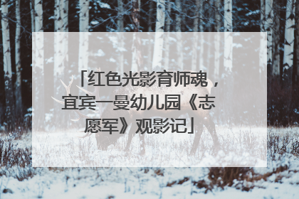 红色光影育师魂，宜宾一曼幼儿园《志愿军》观影记