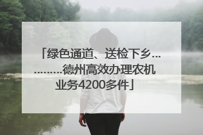 绿色通道、送检下乡…………德州高效办理农机业务4200多件