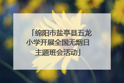 绵阳市盐亭县五龙小学开展全国无烟日主题班会活动