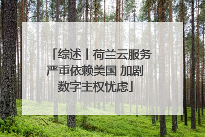 综述丨荷兰云服务严重依赖美国 加剧数字主权忧虑