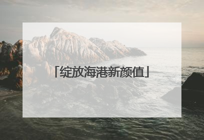 绽放海港新颜值