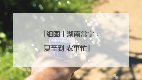 组图丨湖南常宁：夏至到 农事忙