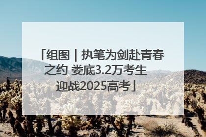 组图｜执笔为剑赴青春之约 娄底3.2万考生迎战2025高考
