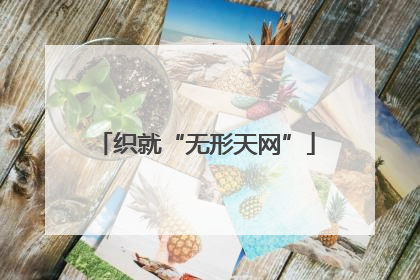 织就“无形天网”