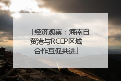 经济观察：海南自贸港与RCEP区域合作互促共进