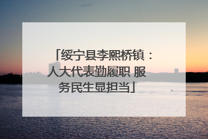 绥宁县李熙桥镇：人大代表勤履职 服务民生显担当