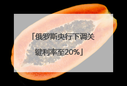 俄罗斯央行下调关键利率至20%