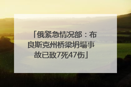 俄紧急情况部：布良斯克州桥梁坍塌事故已致7死47伤