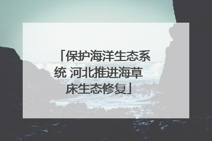 保护海洋生态系统 河北推进海草床生态修复