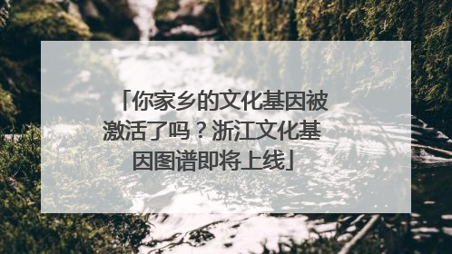 你家乡的文化基因被激活了吗？浙江文化基因图谱即将上线