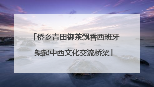侨乡青田御茶飘香西班牙 架起中西文化交流桥梁