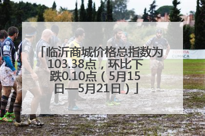临沂商城价格总指数为103.38点，环比下跌0.10点（5月15日—5月21日）