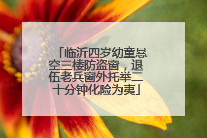 临沂四岁幼童悬空三楼防盗窗，退伍老兵窗外托举二十分钟化险为夷
