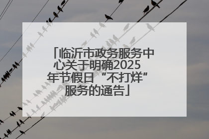 临沂市政务服务中心关于明确2025年节假日“不打烊”服务的通告