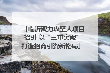 临沂聚力攻坚大项目招引 以“三重突破”打造招商引资新格局