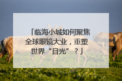 临海小城如何聚焦全球眼镜大业，重塑世界“目光”？