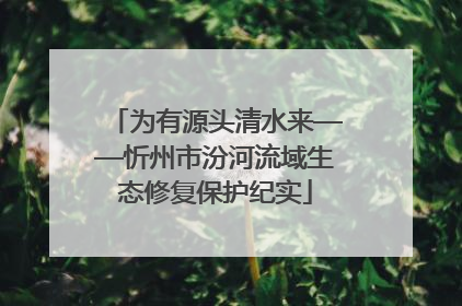 为有源头清水来——忻州市汾河流域生态修复保护纪实