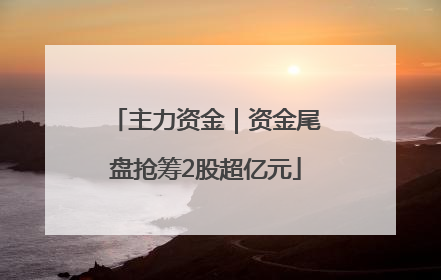 主力资金｜资金尾盘抢筹2股超亿元