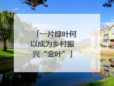 一片绿叶何以成为乡村振兴“金叶”