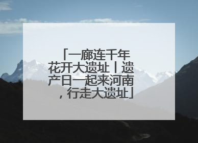 一廊连千年 花开大遗址丨遗产日一起来河南，行走大遗址