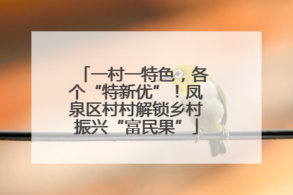 一村一特色，各个“特新优”！凤泉区村村解锁乡村振兴“富民果”