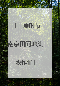 三夏时节 南京田间地头农作忙