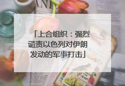 上合组织：强烈谴责以色列对伊朗发动的军事打击