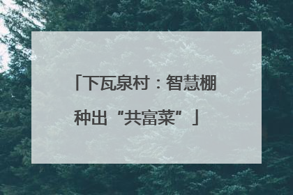 下瓦泉村：智慧棚种出“共富菜”