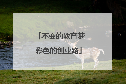 不变的教育梦 彩色的创业路