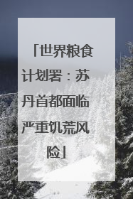 世界粮食计划署：苏丹首都面临严重饥荒风险
