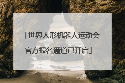 世界人形机器人运动会官方报名通道已开启