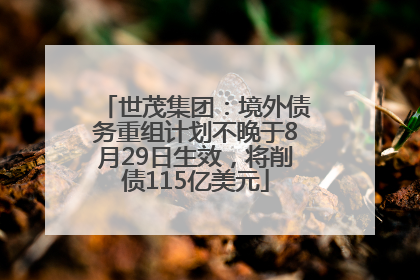 世茂集团：境外债务重组计划不晚于8月29日生效，将削债115亿美元