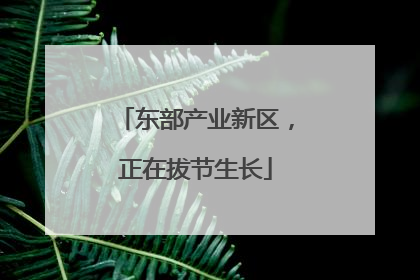 东部产业新区，正在拔节生长