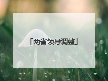 两省领导调整