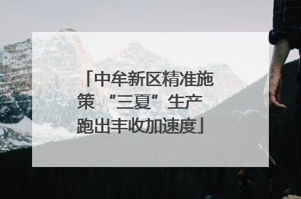 中牟新区精准施策 “三夏”生产跑出丰收加速度