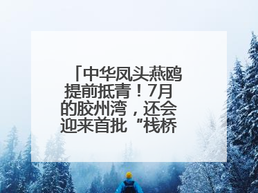 中华凤头燕鸥提前抵青！7月的胶州湾，还会迎来首批“栈桥同款”红嘴鸥