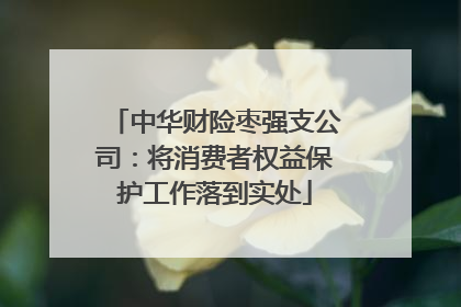 中华财险枣强支公司：将消费者权益保护工作落到实处