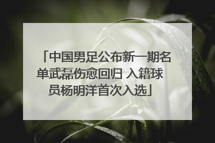 中国男足公布新一期名单武磊伤愈回归 入籍球员杨明洋首次入选