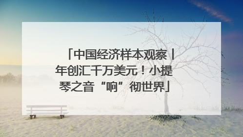 中国经济样本观察丨年创汇千万美元！小提琴之音“响”彻世界