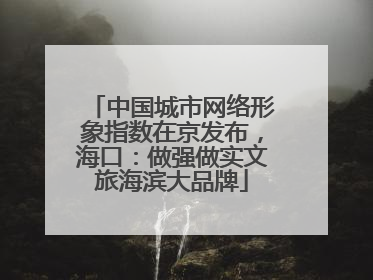 中国城市网络形象指数在京发布，海口：做强做实文旅海滨大品牌