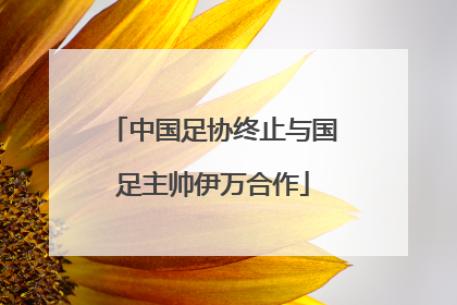 中国足协终止与国足主帅伊万合作